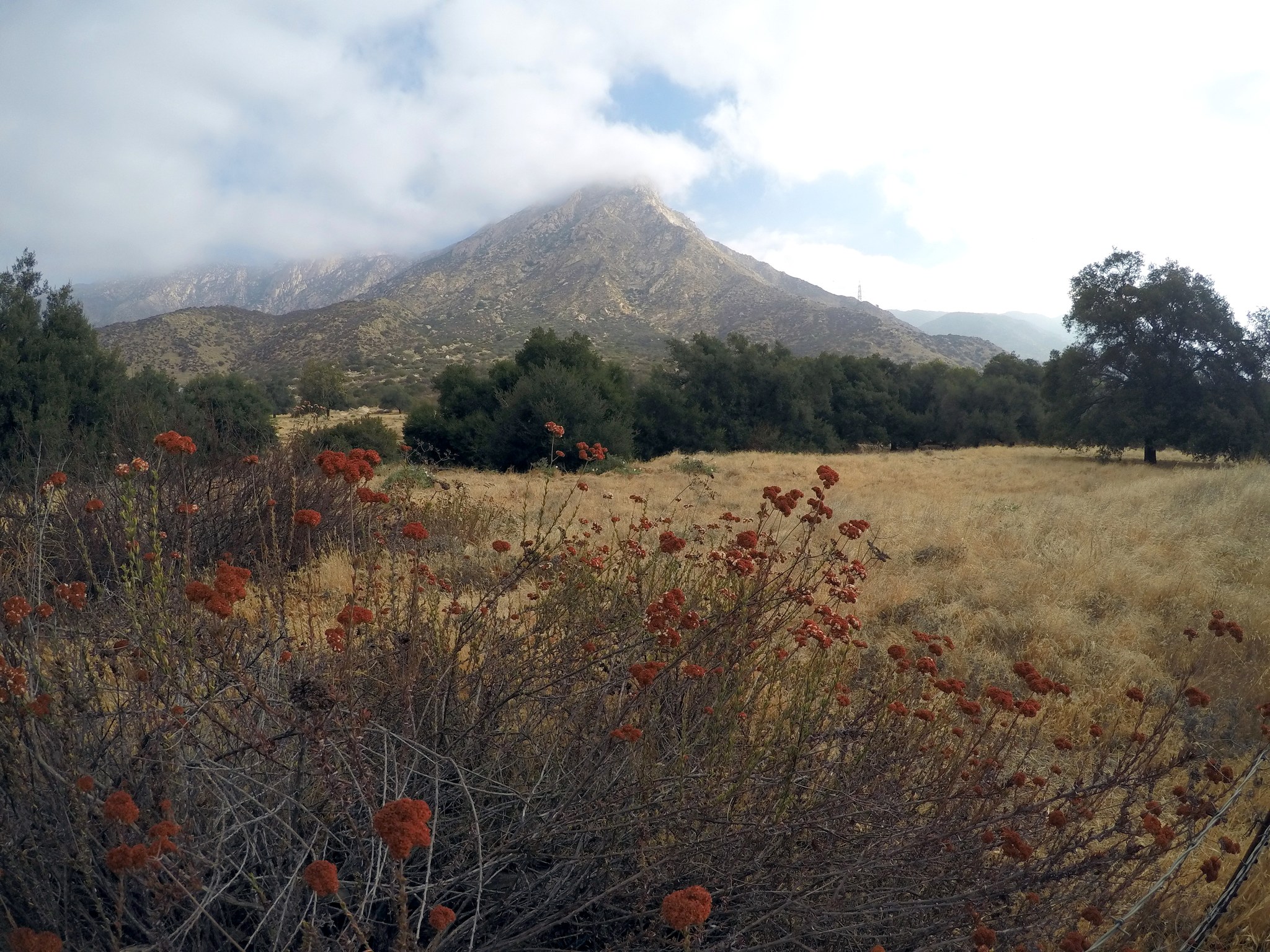 El Cajon Mountain in the nearby East County landscape